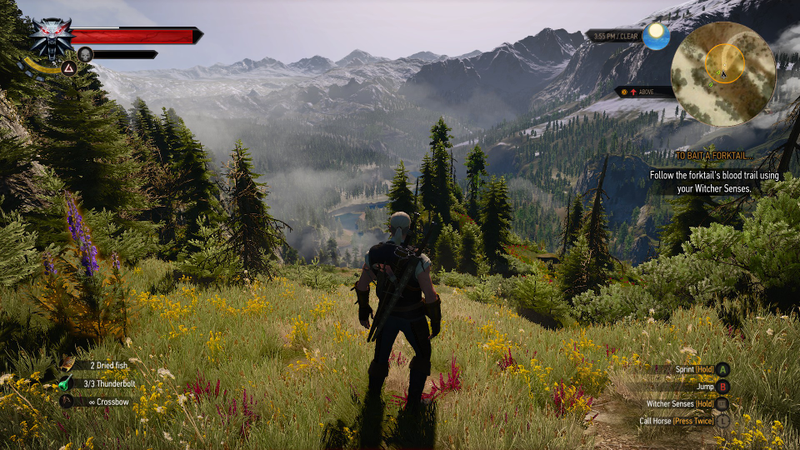 Illustration for article titled The Witcher 3, As Told Through Beautiful Screenshots